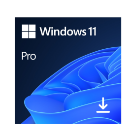WINDOWS 11 PRO 32/64 ESD DOWNLOAD - FQC-10572 FQC-10572